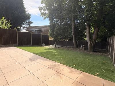 Picture 20